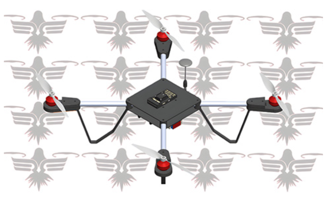 Logo for the Dronely Raven for Senior Design 2024.